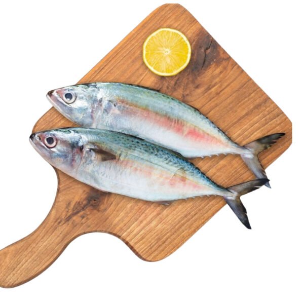 Indian Mackeral Fish
