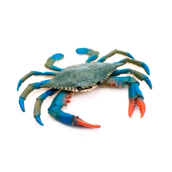 Blue Crab