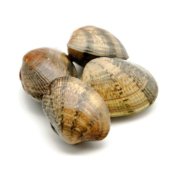 Clams