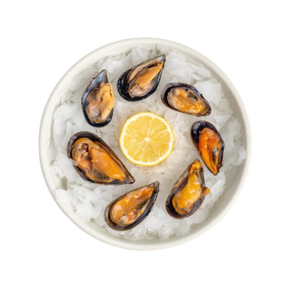 Fresh Mussels