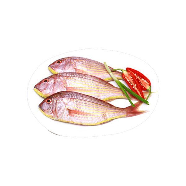 pink perch Pink Perch Fish