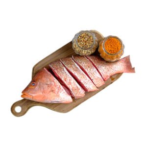 Red Snapper