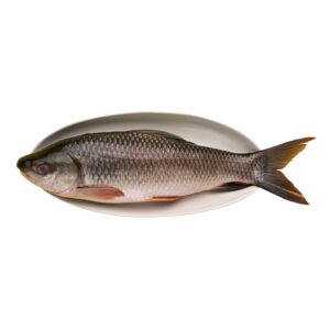 Whole Rohu Fish