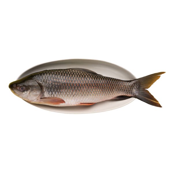 Whole Rohu Fish