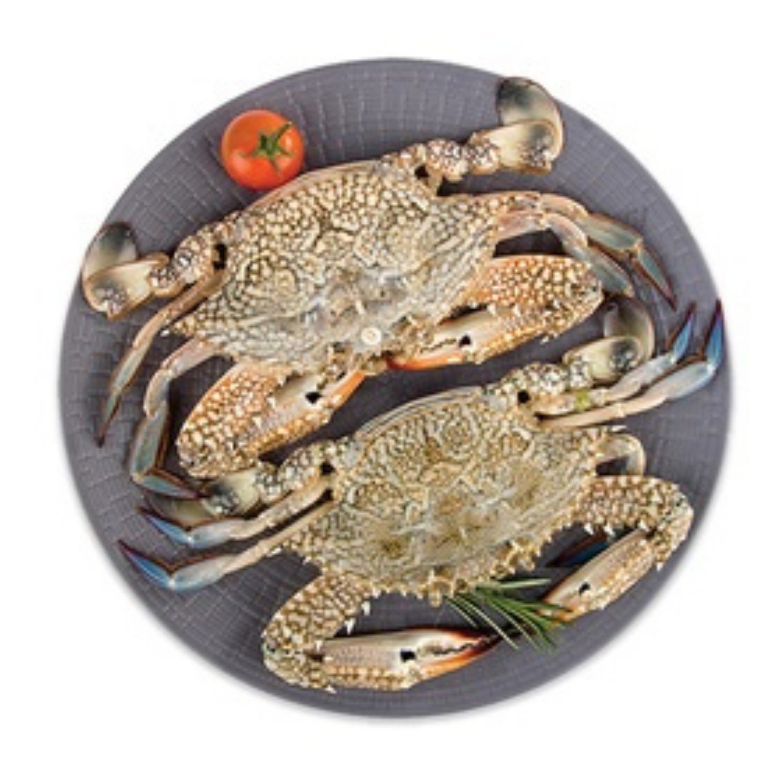 Blue Crab