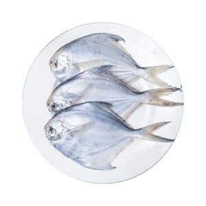 white pomfret White Pomfret